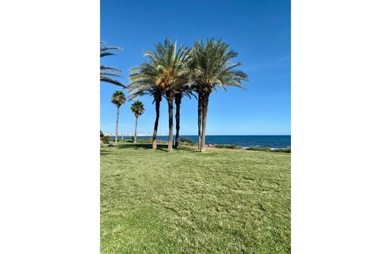 Revente - Appartement - Torrevieja - Costa Blanca