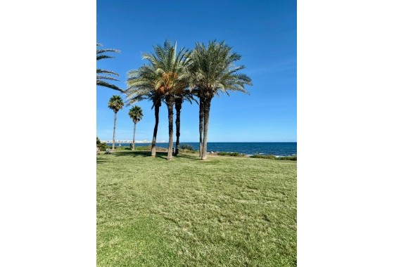 Revente - Appartement - Torrevieja - Costa Blanca