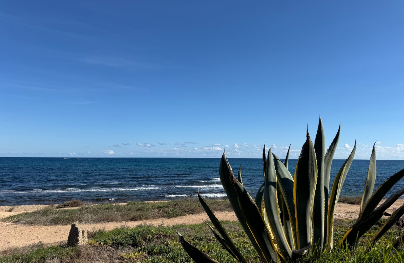 Revente - Appartement - Torrevieja - Costa Blanca