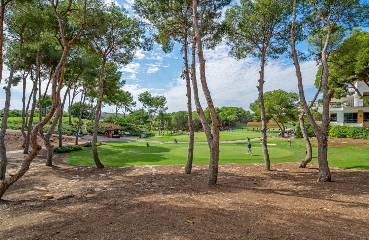 Revente - Duplex Penthouse - Dehesa de campoamor - Costa Blanca