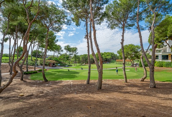 Revente - Duplex Penthouse - Dehesa de campoamor - Costa Blanca