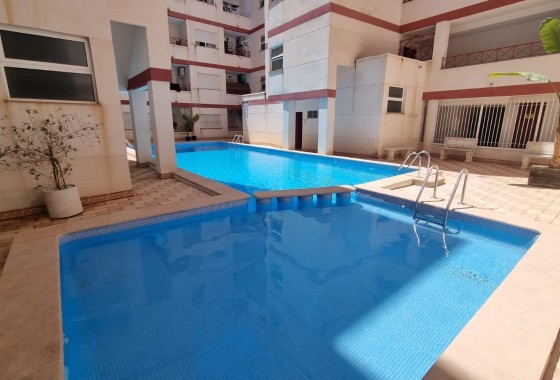 Revente - Appartement - Torrevieja - PARQUE DE LAS NACIONES