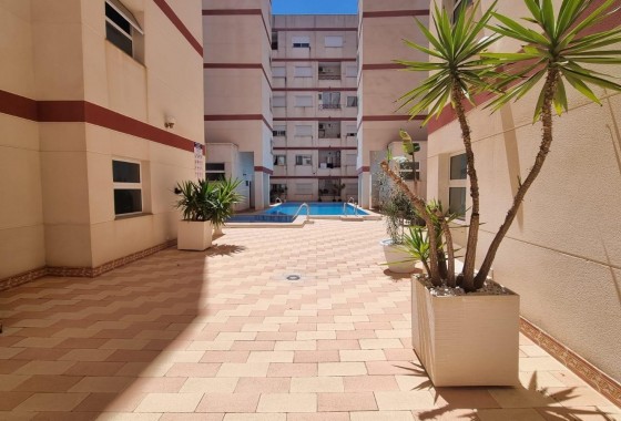 Revente - Appartement - Torrevieja - PARQUE DE LAS NACIONES