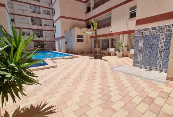 Revente - Appartement - Torrevieja - PARQUE DE LAS NACIONES