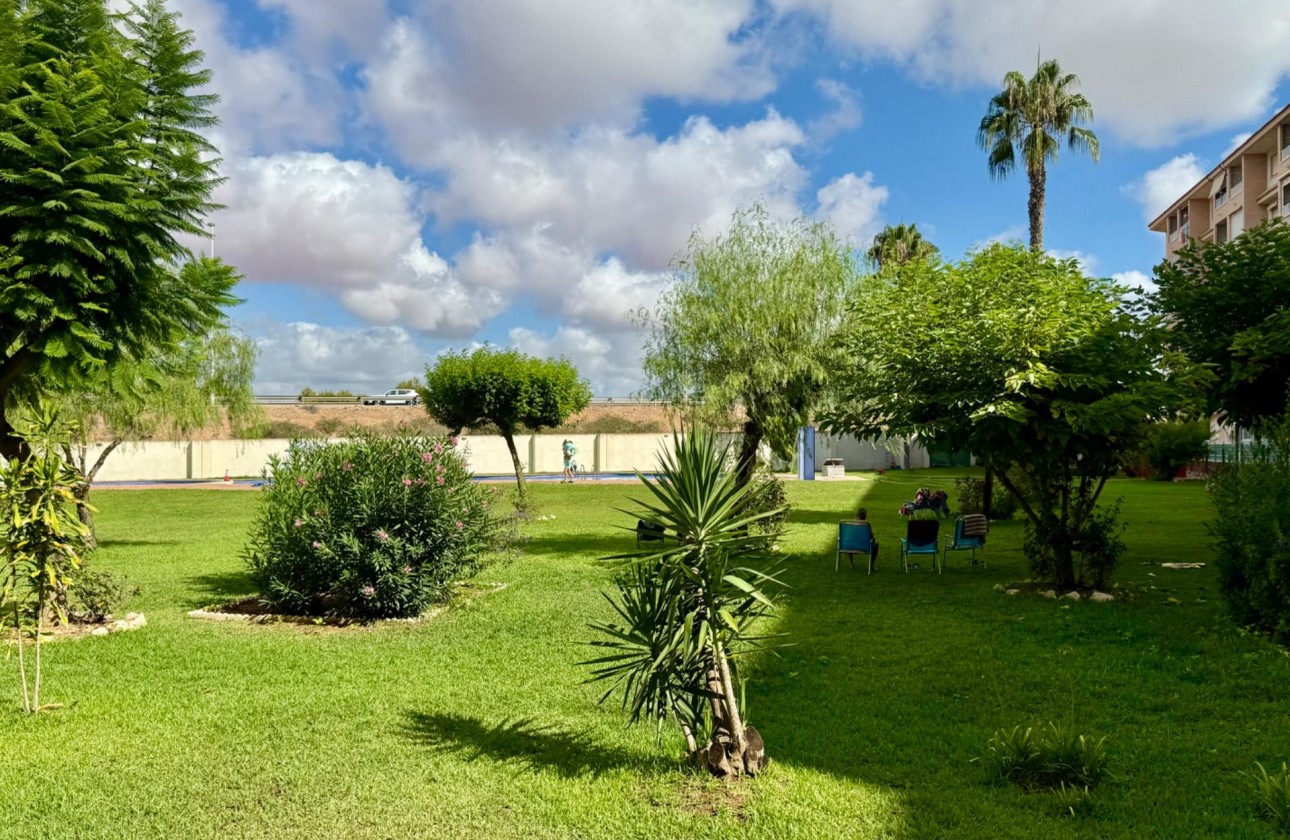 Revente - Appartement - Torrevieja - PARQUE DE LAS NACIONES