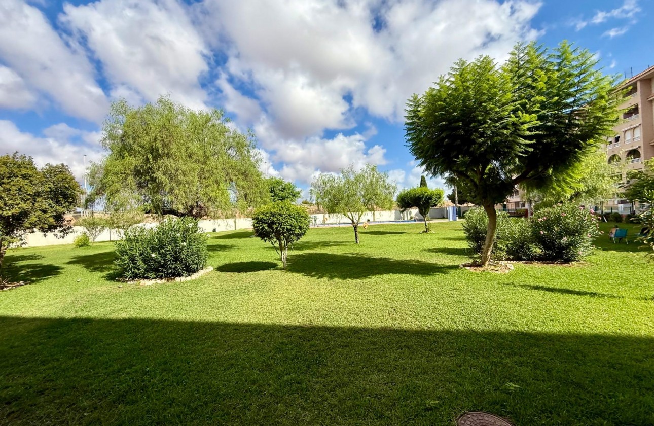 Revente - Appartement - Torrevieja - PARQUE DE LAS NACIONES