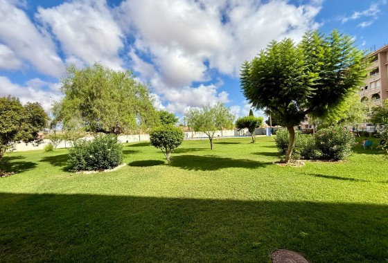 Revente - Appartement - Torrevieja - PARQUE DE LAS NACIONES