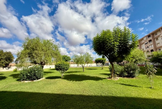 Revente - Appartement - Torrevieja - PARQUE DE LAS NACIONES