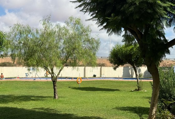Revente - Appartement - Torrevieja - PARQUE DE LAS NACIONES