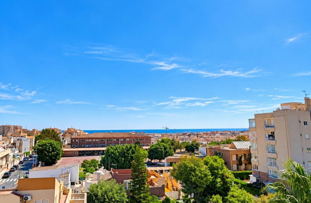 Nouvelle construction - Appartement - Torrevieja - Nueva Torrevieja