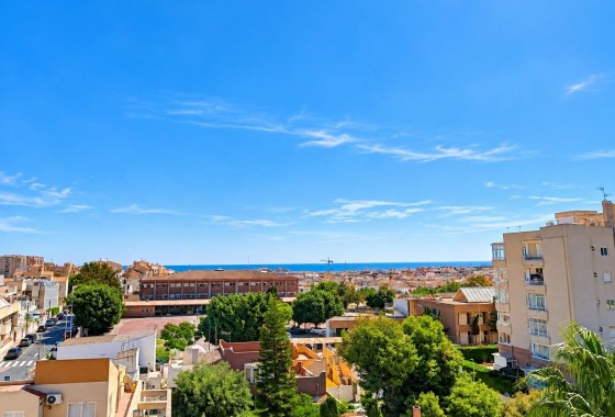 Nouvelle construction - Appartement - Torrevieja - Nueva Torrevieja