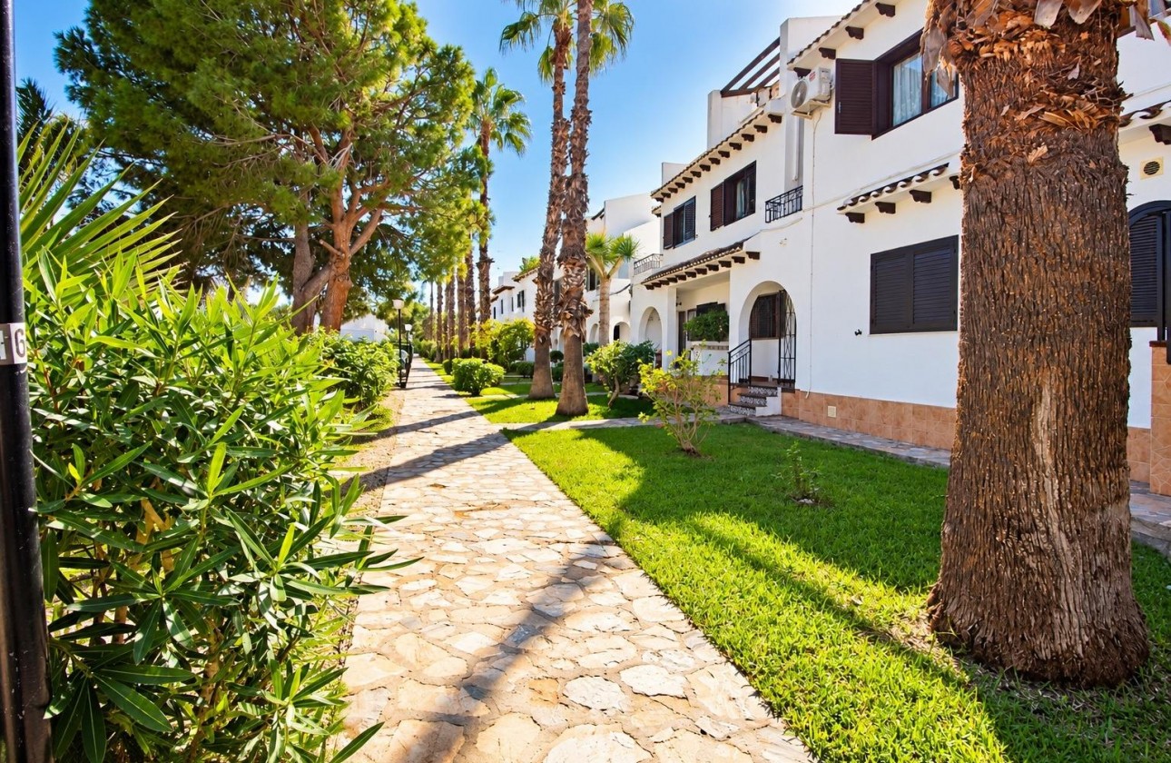 Revente - Appartement - Cabo Roig