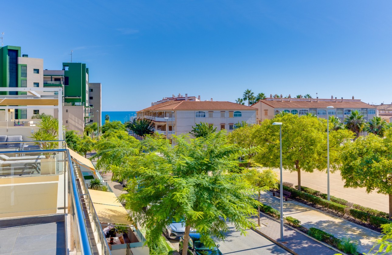 Reventa - Bungalow - Pilar de la Horadada - Mil Palmeras
